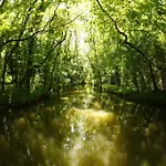 мура