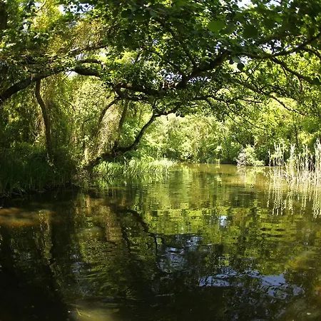 мура Албена