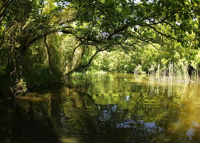 мура Албена